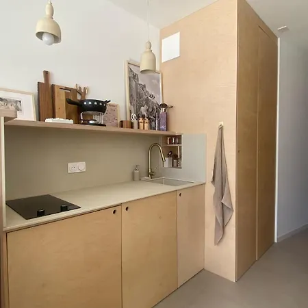 Appartement Chamonix Lejlighed